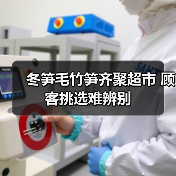 冬笋毛竹笋齐聚超市 顾客挑选难辨别(图2) 冬笋毛竹笋齐聚超市 顾客挑选难辨别(图2)