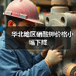 华北地区硝酸钾价格小幅下降(图3) 华北地区硝酸钾价格小幅下降(图3)