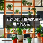五点适用于提高氮肥利用率的方法(图2) 五点适用于提高氮肥利用率的方法(图2)