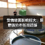 受情绪面影响较大,尿素强势市场渐趋缓(图1) 受情绪面影响较大,尿素强势市场渐趋缓(图1)