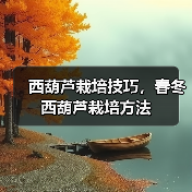 西葫芦栽培技巧,春冬西葫芦栽培方法(图1) 西葫芦栽培技巧,春冬西葫芦栽培方法(图1)
