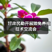 甘肃民勤开展獭兔养殖技术交流会（图1）