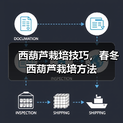 西葫芦栽培技巧,春冬西葫芦栽培方法(图3) 西葫芦栽培技巧,春冬西葫芦栽培方法(图3)