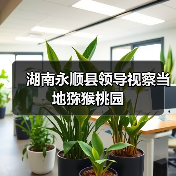 湖南永顺县领导视察当地猕猴桃园(图2) 湖南永顺县领导视察当地猕猴桃园(图2)
