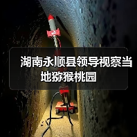湖南永顺县领导视察当地猕猴桃园(图3) 湖南永顺县领导视察当地猕猴桃园(图3)