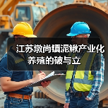 江苏墩尚镇泥鳅产业化养殖的破与立(图1) 江苏墩尚镇泥鳅产业化养殖的破与立(图1)