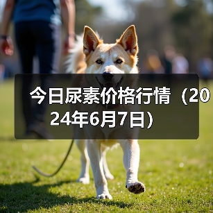 今日尿素价格行情(2024年6月7日)(图1) 今日尿素价格行情(2024年6月7日)(图1)