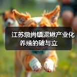 江苏墩尚镇泥鳅产业化养殖的破与立(图3) 江苏墩尚镇泥鳅产业化养殖的破与立(图3)
