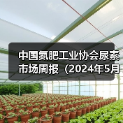 中国氮肥工业协会尿素市场周报(2024年5月27日-2024年6月2日)(图3) 中国氮肥工业协会尿素市场周报(2024年5月27日-2024年6月2日)(图3)