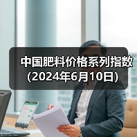 中国肥料价格系列指数(2024年6月10日)(图1) 中国肥料价格系列指数(2024年6月10日)(图1)
