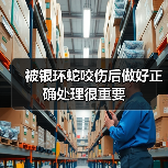 被银环蛇咬伤后做好正确处理很重要 被银环蛇咬伤后做好正确处理很重要