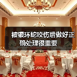 被银环蛇咬伤后做好正确处理很重要(图3) 被银环蛇咬伤后做好正确处理很重要(图3)