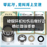 被银环蛇咬伤后做好正确处理很重要(图4) 被银环蛇咬伤后做好正确处理很重要(图4)