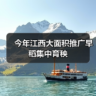 今年江西大面积推广早稻集中育秧（图2）