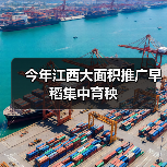 今年江西大面积推广早稻集中育秧（图1）