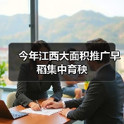 今年江西大面积推广早稻集中育秧（图4）