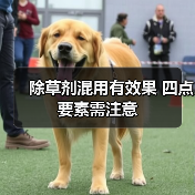 除草剂混用有效果 四点要素需注意(图3) 除草剂混用有效果 四点要素需注意(图3)
