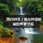 国内钾讯 | 氯化钾坚挺,硫酸钾更坚挺(图3) 国内钾讯 | 氯化钾坚挺,硫酸钾更坚挺(图3)