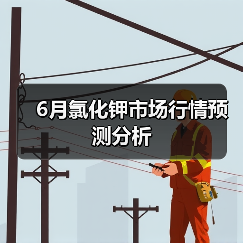 6月氯化钾市场行情预测分析(图2) 6月氯化钾市场行情预测分析(图2)