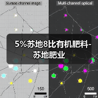 5%苏地8比有机肥料-苏地肥业(图3) 5%苏地8比有机肥料-苏地肥业(图3)