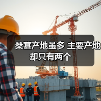 桑葚产地虽多 主要产地却只有两个 桑葚产地虽多 主要产地却只有两个