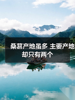 桑葚产地虽多 主要产地却只有两个(图4) 桑葚产地虽多 主要产地却只有两个(图4)
