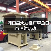 湖口县大力推广草鱼疫苗注射活动（图1）