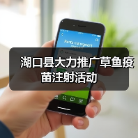 湖口县大力推广草鱼疫苗注射活动（图2）