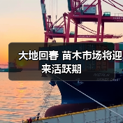 大地回春 苗木市场将迎来活跃期(图4) 大地回春 苗木市场将迎来活跃期(图4)
