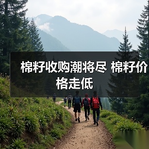 棉籽收购潮将尽 棉籽价格走低（图1）