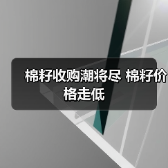 棉籽收购潮将尽 棉籽价格走低（图4）