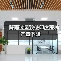 降雨过量致使印度蔗糖产量下降(图3) 降雨过量致使印度蔗糖产量下降(图3)