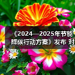 《2024—2025年节能降碳行动方案》发布 对磷酸行业影响几何?(图2) 《2024—2025年节能降碳行动方案》发布 对磷酸行业影响几何?(图2)