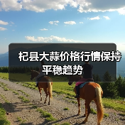 杞县大蒜价格行情保持平稳趋势(图4) 杞县大蒜价格行情保持平稳趋势(图4)