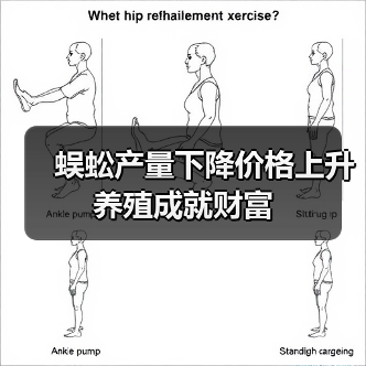 蜈蚣产量下降价格上升 养殖成就财富(图1) 蜈蚣产量下降价格上升 养殖成就财富(图1)