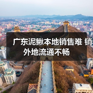 广东泥鳅本地销售难 销外地流通不畅(图1) 广东泥鳅本地销售难 销外地流通不畅(图1)