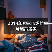 2014年尿素市场将呈一片熊市景象（图3）