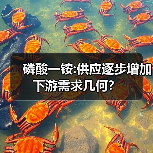 磷酸一铵:供应逐步增加 下游需求几何?(图1) 磷酸一铵:供应逐步增加 下游需求几何?(图1)