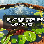 减少产品流通环节 降低香菇批发成本(图4) 减少产品流通环节 降低香菇批发成本(图4)