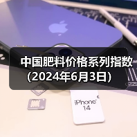 中国肥料价格系列指数(2024年6月3日)(图2) 中国肥料价格系列指数(2024年6月3日)(图2)