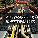 磷矿石:宏观政策压力不减 磷矿未来面临挑战(图1) 磷矿石:宏观政策压力不减 磷矿未来面临挑战(图1)