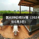氯化钾价格行情(2024年6月3日)(图2) 氯化钾价格行情(2024年6月3日)(图2)