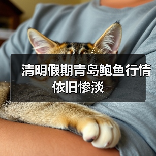 清明假期青岛鲍鱼行情依旧惨淡(图1) 清明假期青岛鲍鱼行情依旧惨淡(图1)