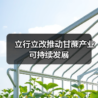 立行立改推动甘蔗产业可持续发展(图1) 立行立改推动甘蔗产业可持续发展(图1)
