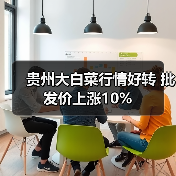 贵州大白菜行情好转 批发价上涨10%(图4) 贵州大白菜行情好转 批发价上涨10%(图4)