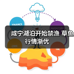 咸宁湖泊开始禁渔 草鱼行情渐优（图1）