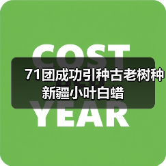 71团成功引种古老树种新疆小叶白蜡（图1）