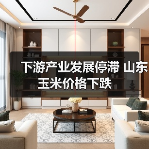 下游产业发展停滞 山东玉米价格下跌（图1）