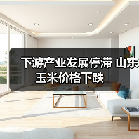 下游产业发展停滞 山东玉米价格下跌（图2）