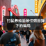 竹鼠养殖前景佳烟雾弹下的骗局（图1）